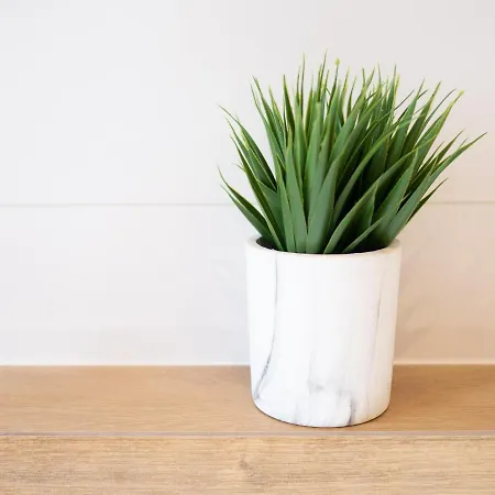 Appartement Delux Aleja Nmp 8 - Free Parking Częstochowa