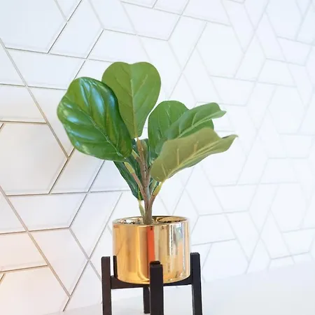 Appartement Delux Aleja Nmp 8 - Free Parking *