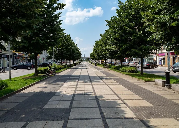 Delux Aleja Nmp 8 - Free Parking דירה צ'סטוצ'ובה