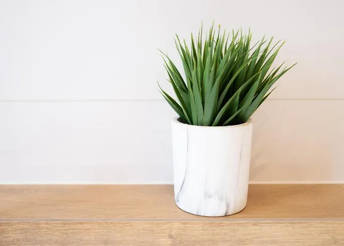 דירה Delux Aleja Nmp 8 - Free Parking צ'סטוצ'ובה