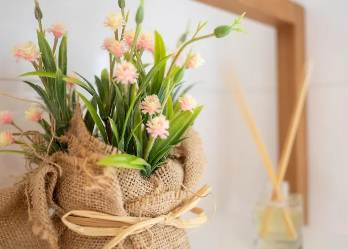 Delux Aleja Nmp 8 - Free Parking דירה