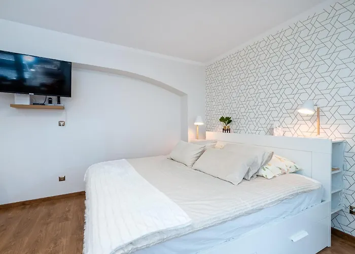 Delux Aleja Nmp 8 - Free Parking * צ'סטוצ'ובה