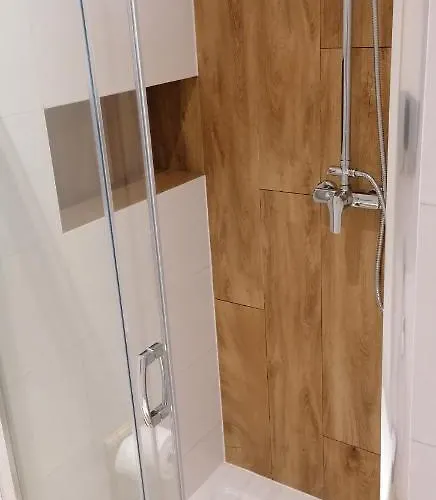 Delux Aleja Nmp 8 - Free Parking * צ'סטוצ'ובה