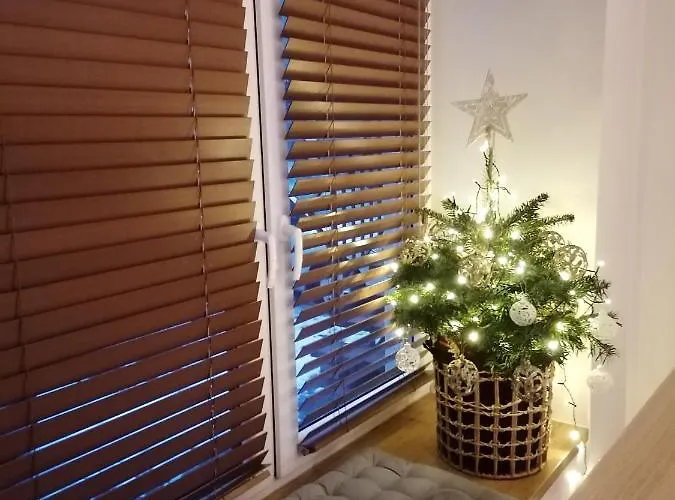 Delux Aleja Nmp 8 - Free Parking צ'סטוצ'ובה